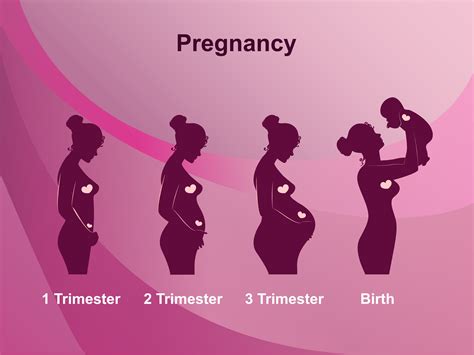 do you get horny in early pregnancy|Sex in trimester one, two and three of pregnancy.